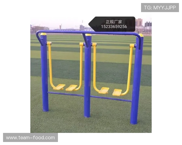 老年人家用健身器材推荐清单及选购技巧