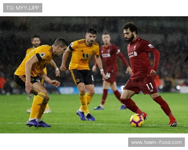 英超狼队足球队历年战绩及发展轨迹分析