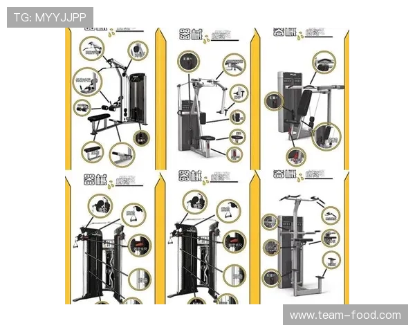 健身器材训练效果差异分析：不同器械带来哪些变化