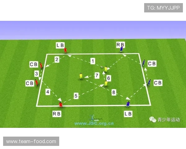 足球比赛中的门将站位与扑救策略分析