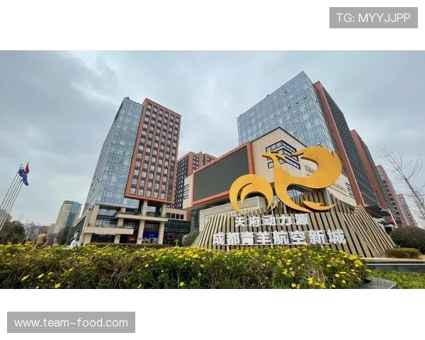 鲁尔区：资本与城市发展的密码