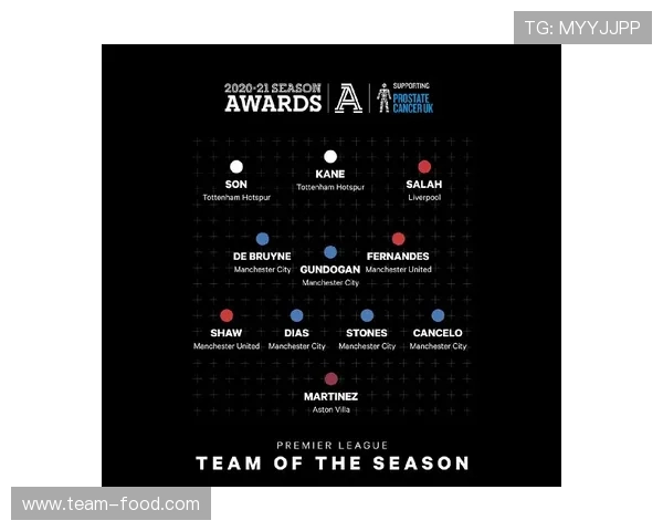 2013年英超赛季最佳球员评选结果与理由分析 2013年英超赛季最佳球员评选结果与理由分析