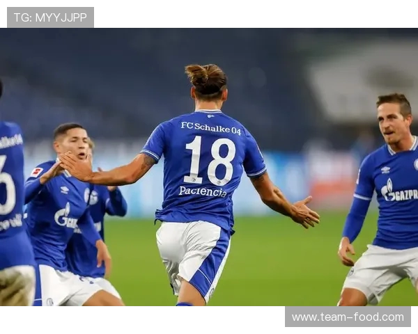 FM2017中德甲球队实力及阵容评测 FM2017中德甲球队实力及阵容评测