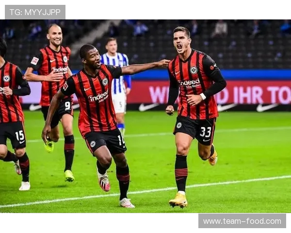 德甲球队的成绩对比：各队的赛季表现分析