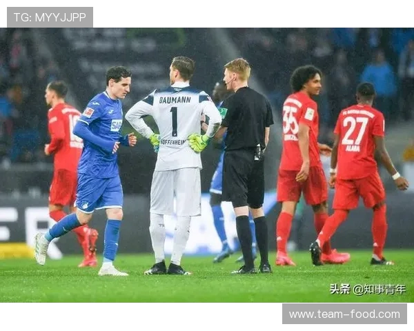 德甲球队霍普老板背景及其对球队发展的深远影响