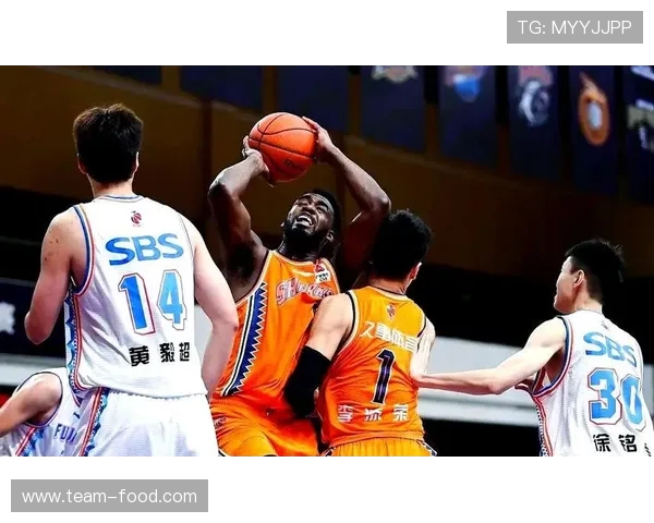 河北CBA篮球队的历史与未来展望