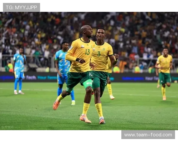 2010年南非世界杯的激情记忆与时代传奇全球盛宴荣耀史诗篇章