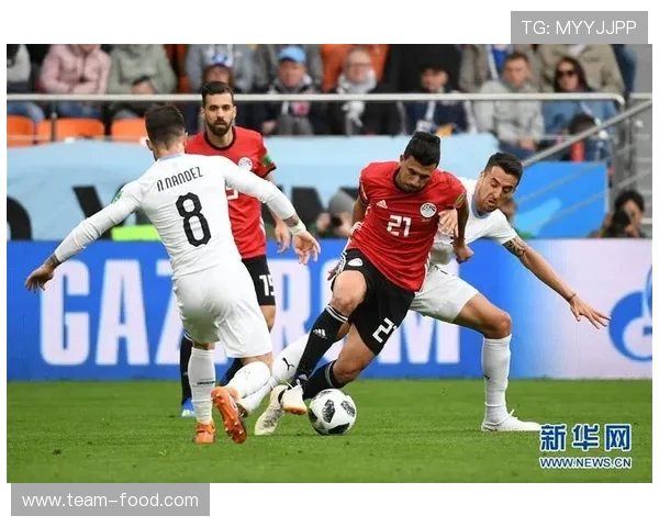 埃及世界杯小组赛精彩回顾与分析：揭示球队表现与晋级之路