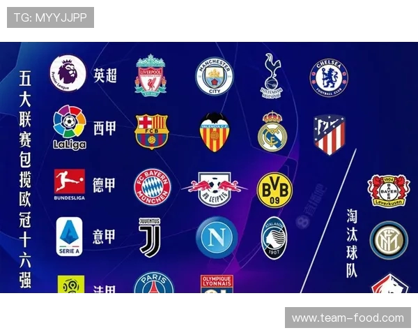 西甲球队对德甲球队战绩:西甲球队与德甲球队的交战成绩 西甲球队对德甲球队战绩:西甲球队与德甲球队的交战成绩